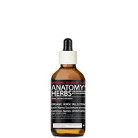 Horsetail Extract, Organic High Grade (Alcohol-Free)