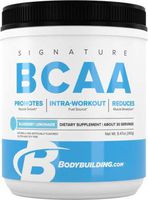 Bodybuilding Signature BCAA Powder | Essential Amino Acids | Nutrition Supplement | Promote Muscle Growth and Recovery | 30 Servings, Blueberry Lemonade