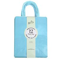12CT Medium Light Blue Biodegradable, Food Safe Ink & Paper, Premium Quality Paper (Sturdy & Thicker), Kraft Bag with Colored Sturdy Handle