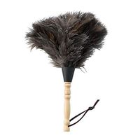 ZHANGY Spider Web Duster/Kitchen Cleaning Brush,Feather Cleaning Duster Computer Screens, Keyboards, Plant Leaves, dashboards Cleaning Tools