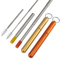 Reusable Drinking Straw - Portable Collapsible & Foldable Telescopic Stainless Steel Metal Design - Light Aluminum Case - Long Cleaning Brush - Silicone Tip - Carabiner KeyChain - Pack of 2
