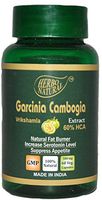Herbo Natural Garcinia cambogia Extract 500 Mg 60 Veg Capsules a Product from GMP Certified Unit (Pack of 1)