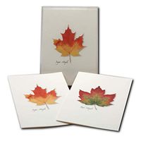 Earth Sky + Water - Maple Leaf Assortment Notecard Set - 8 Blank Cards with Envelopes (4 each of 2 styles)