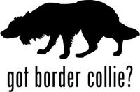 Got Border Collie Herding Dog Pet Graphic Car Truck Window Decor Decal Sticker - Die cut vinyl decal for windows, cars, trucks, tool boxes, laptops, MacBook - virtually any hard, smooth surface