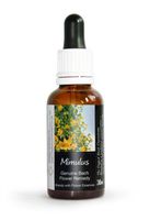 Mimulus Bach Flower Remedy Large 30ml. Genuine Traditionally Made Essence