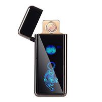 FL5018 USB Electronic Lighter Tungsten Turbo Spiral Windproof for Cigarette Smoking (Black Tiger)