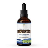 Elder Berries Alcohol-Free Liquid Extract, Organic Elder Berries (Sambucus Nigra) Dried Berry Tincture Supplement (4 FL OZ)
