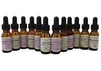 Start Set 100% Pure Therapeutic Grade Essential Oils Set/Kit 12/0.6 oz (Eucalyptus Lemon Grapefruit Lavender Lemongrass Ylang Ylang Orange Cedar Wood Patchouli Peppermint Rosemary Tea Tree)