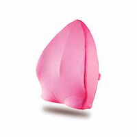 MUTANG Ergonomic 3D Ventilative Mesh Memory Foam Lumbar Support Pillow, Adjustable Straps for Car,Recliner or Office Chair Lumbar Support Back Cushion (Color : Pink)