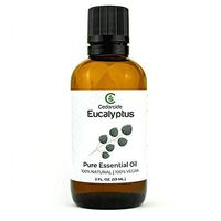 Cedarcide Eucalyptus Therapeutic Essential Oil 2oz | 100% Pure | 100% Vegan | Natural Aromatherapy (2oz)