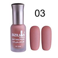 Nail Art Polish,Putars Fashion 12ml Matte Dull Nail Polish Fast Dry Long Lasting Nail Art Matte Nail Polish Gel (C)