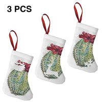 Santa Claus Snowman Christmas Figure Decoration A Cactus in Bloom Great for Funny Xmas Party