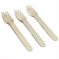Eco-friendly Disposable Wooden Forks Set Silverware for Birthday Party Events Holiday Family Gathering Camping BBQ Cutlery (100 ct., Forks)