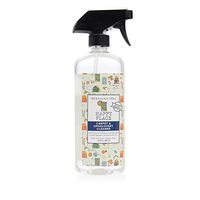 Beekman 1802 Happy Place 20 oz. Carpet and Fabric Cleaner - Sweet Grass