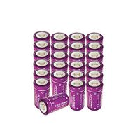 D Cell ER34615 3.6v Lithium Battery with High Capacity 19000mAh (24pc)