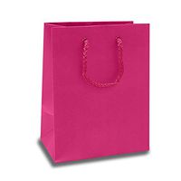 Matte Hot Pink Mini Euro Bags | Quantity: 25 | Width: 3" Gusset - 2 1/2"