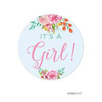 Andaz Press Pink Roses English Tea Party Tea Party Baby Shower Collection, Round Circle Gift Tags, It's a Girl!, 24-Pack