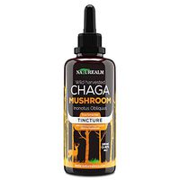 Naturealm Chaga Mushroom Extract - 100% Wild Harvested in Alaska - Potent Dual Extraction - Super Antioxidant, Immune Support, Anti Aging, Skin Health - 100ml (3.38oz.)