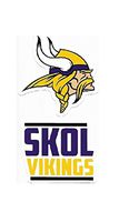 NFL Minnesota Vikings Double Up Die Cut 2-Piece Sticker Sheet