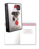 12 Count Christmas Holiday Boxed Cards w/Envelopes Cute Xmas Animal Greeting Card