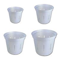 Slotted Clear Orchid Pots by rePotme - Growers Assortment (8 pots - 2 Each, White Pearl)