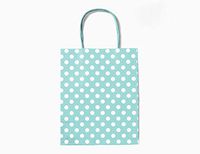 Gift Expressions Paper Gift Bags, 12 Count, Mint Polka Dot Kraft Paper Bags, 8” x 10” x 4.5" 100% Recycled, Thick & Durable Eco Friendly Paper Bags with Handles, Goodie Bags, Party Bags