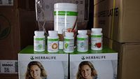 Herbalife Advanced Program - Choose Your Flavor (Piña Colada)