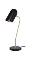 Caden Table Lamp with Matte Brass Body