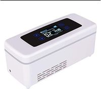 L&WB Portable Insulin Cooler with Car USB Charging Travel Case LCD Display 2-8°C,A1
