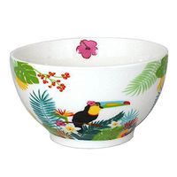 Toucan Porcelain Bowl 480 ml