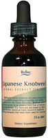 Japanese Knotweed 2 fl oz (Herbal Tincture)