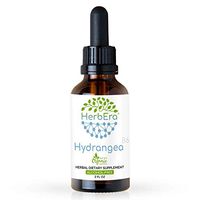 Hydrangea B60 Alcohol-Free Herbal Extract Tincture, Organic Hydrangea (Hydrangea arborescens) Dried Root (2 fl oz)