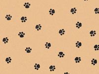 PAW PRINT KRAFT Recycled Tissue120~20"x30" Half Ream Tissue Prints (2 unit, 120 pack per unit.)