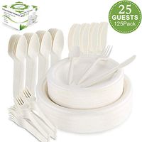 Farieyln-X 125 Pcs Disposable Dinnerware Set Compostable Sugarcane Cutlery Tableware Paper Plates and Dinner Plates, Knives, Spoons and Forks Combo for Birthday Party BBQ Picnic(25 Guests)