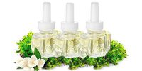 (3 Pack) Scented Oil Refills 100% Natural Sanitizing Blend Fits Air Wick – Peppermint, Jasmine & Oak Moss