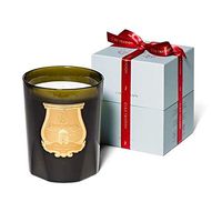 Cire Trudon Spiritus Sancti Candle (105 oz Great Candle - Incense Fragrance)