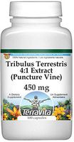 Tribulus Terrestris 4:1 Extract (Puncture Vine) - 450 mg (100 Capsules, ZIN: 511102) - 2 Pack