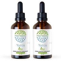 Yucca B120 (2pcs) Alcohol-Free Herbal Extract Tincture, Super-Concentrated (Soapweed, Yucca Glauca) (2x4 fl oz)