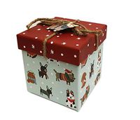 Cute Multi Dog Breeds in Winter Attire Embellished Small Decorative Holiday Gift Box (Cube)