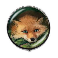 Beautiful Cute Fox Pill Box - Charm Pill Box - Glass Candy Box Animal Fox Image Charms Jewelry Gift Glass Art Photo Jewelry Gift