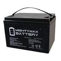Mighty Max Battery 12V 125AH SLA Battery for Zoeller 508 Aquanot Backup Sump Brand Product