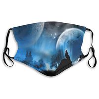 Mouth Masks for Dust Protection Anti Face Mask Washable Earloop Mask Activated Carbon Filter