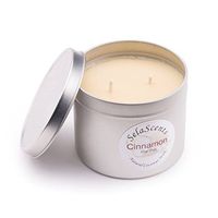Sela Scents Large 16 oz. Pillar Cinnamon Scented Aromatherapy Soy Wax Candle 50 Hour Burn Time