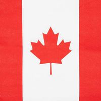 Canadian Flag Napkins for Parties (100 Pack)