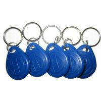 RFID EM KEYFOBS - Set of 5