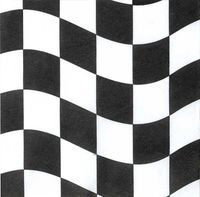 Black & White Check Luncheon Napkin, 2 Ply (12pks Case)
