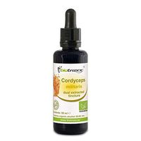 Biotraxx Cordyceps Mushroom Extract Tincture 50 ml, Made in Germany