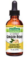 Botanic Choice Liquid Extract, Ginger Root, 1 Fluid Ounce