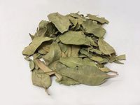 罗布麻 | Folium Apocyni Veneti