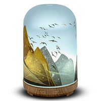 Aromatherapy Essential Oil Diffuser 120ml Cool Mist Glass Diffuser Ultrasonic Silent Humidifier With 7 Color LED Lights, Intermittent Spray Function, Adjustable Spray Quantity for Home,Office,SPA.